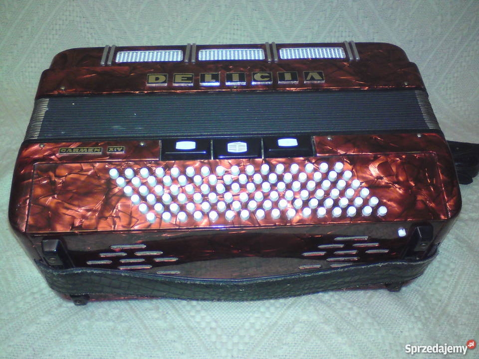 Akordeon Delicia Nieledew