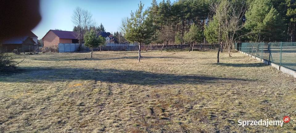 Działki z lasem i budowlana Stalowa Wola