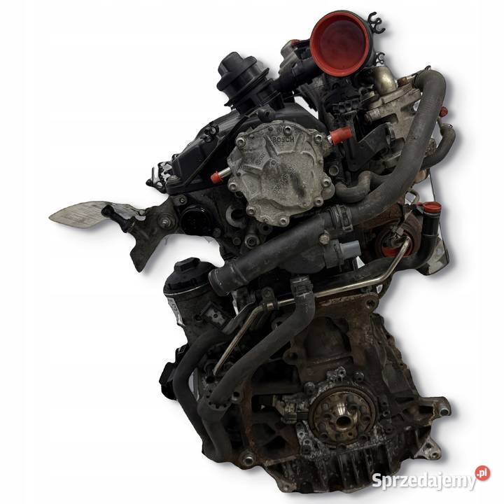 SILNIK BXE VW Golf V Jetta III Touran Passat B6 Chełm