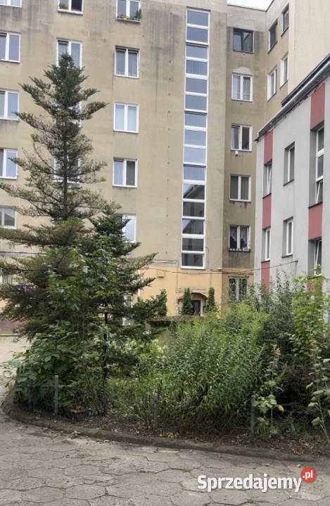 Zaciszne mieszkanie na Próchnika sypialnią 42 m