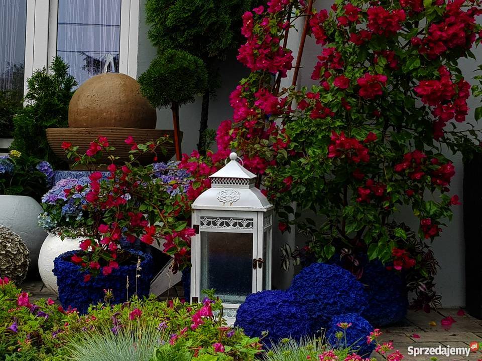 Kule betonowe różane zestaw 3 sztuki Jaworze sprzedam