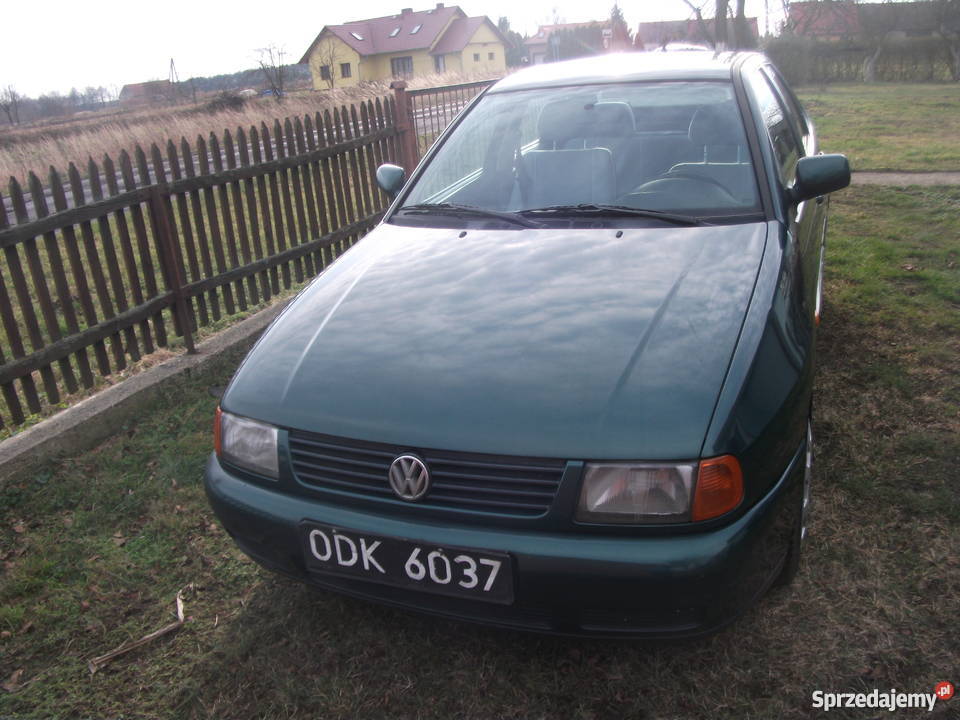 Volkswagen Polo Classic Niemodlin