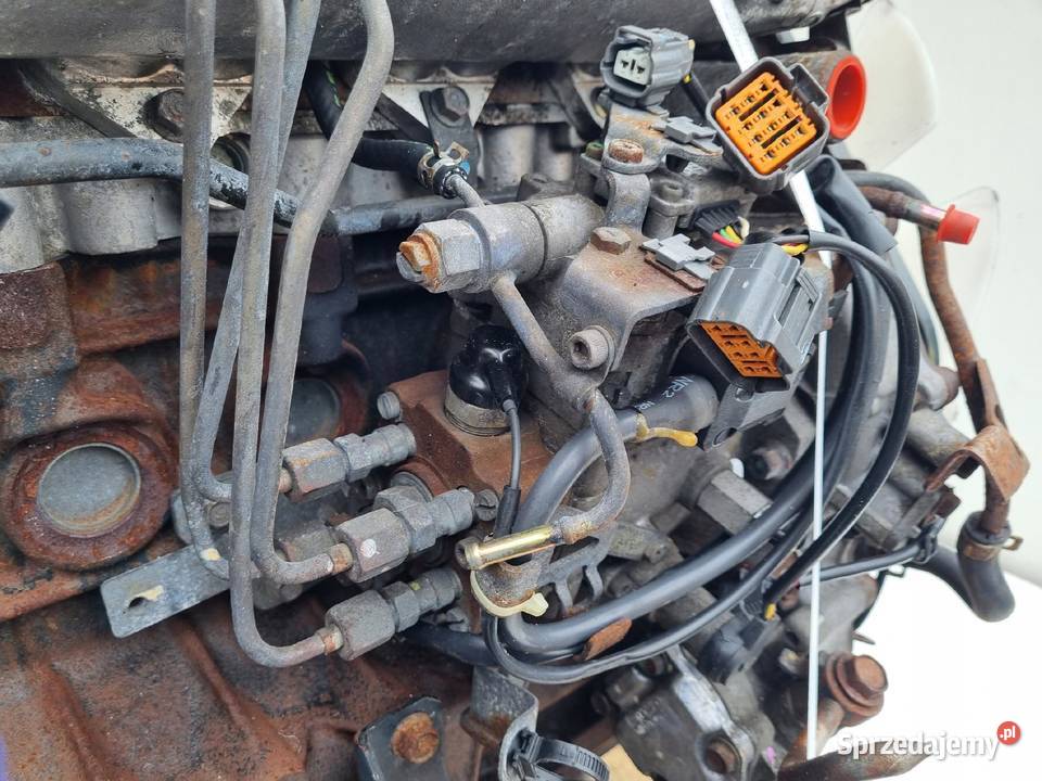 SILNIK KOMPLET Ford B2500 25 TD 109 9806r WL osobowe Chełm