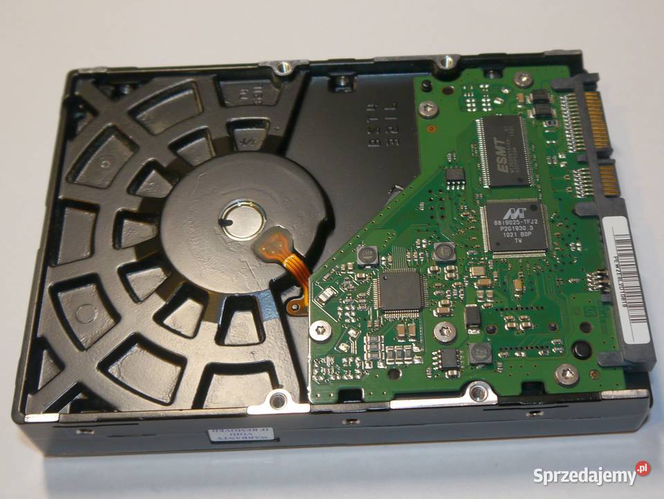 Dysk twardy HDD Samsung 1TB HD103SJ 35 1000GB 3,5” pomorskie Gdańsk