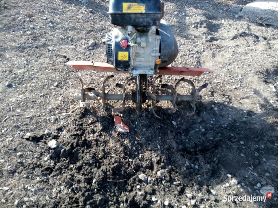 Glebogryzarka spalinowa Zamość