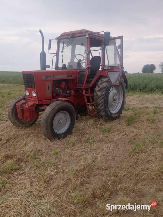 MTZ 82 Belarus Pronar 80 Sandomierz sprzedam