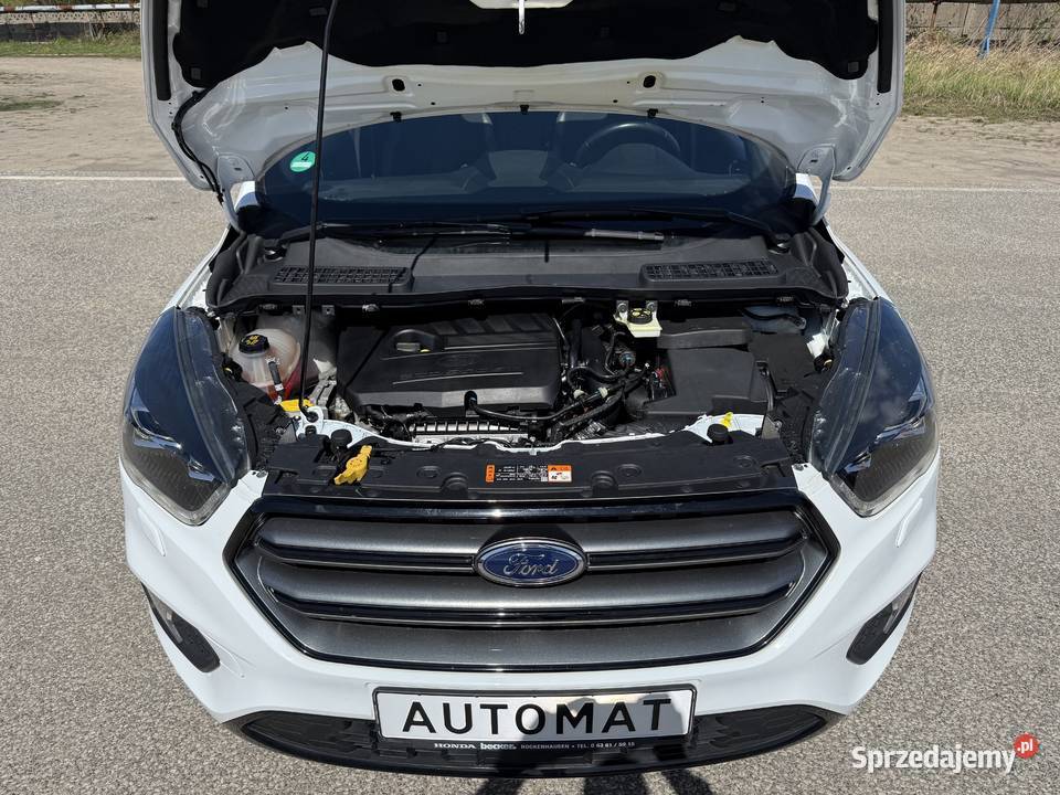 Ford Kuga 15 BENZYNA STLINE 4x4 Kamera Ledy wielkopolskie Konin