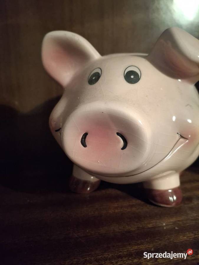 Skarbonka duża Świnka mazowieckie