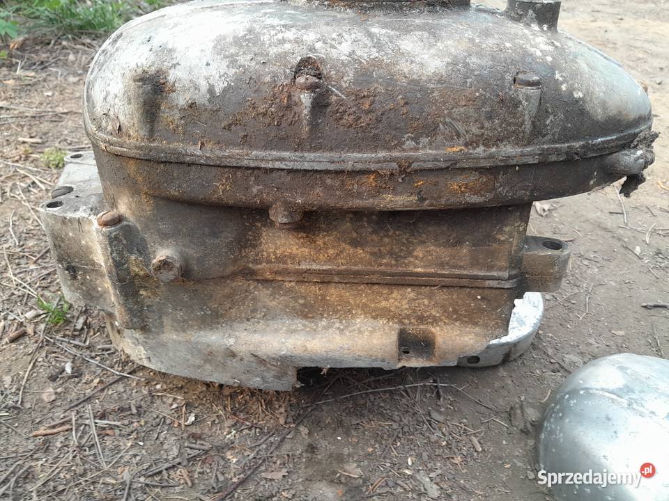 Silnik pannonia Świerzawa