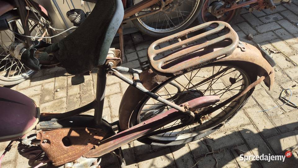 Komar sztywniak podlaskie Hryniewicze sprzedam