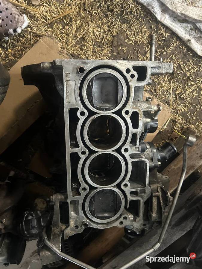 Sprzedam silnik 14 tce Przasnysz sprzedam