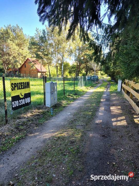 Działka rekreacyjna w Szczechach Małych jezioro Szczechy Małe