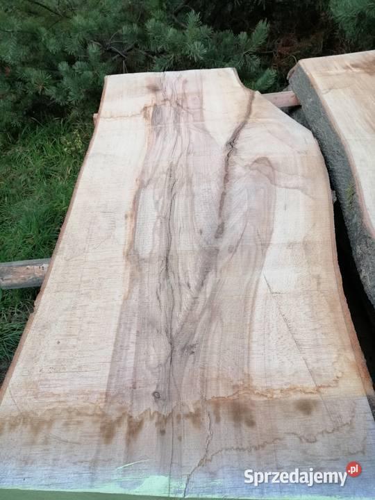 Monolit 100x90x308 dąb jesion topola live edge Przysucha