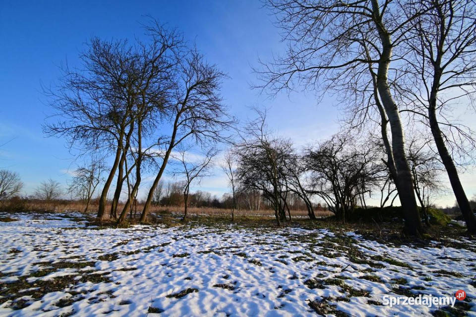 Gm Wąwolnica 100ar z projektem domu Sprzedaż