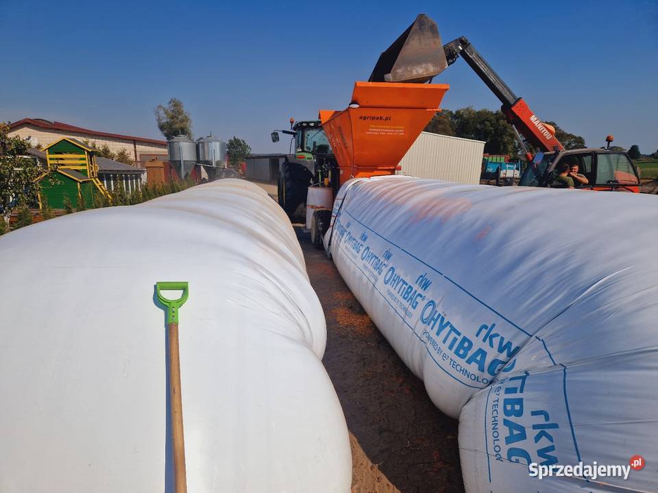 Usługi śrutowania Zbórz ziarna kukurydzy podlaskie Dobrzyniewo Duże