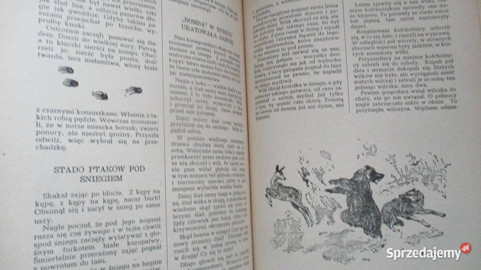 Leśna Gazeta WBianki1953edukacja Książki dla dzieci Łódź sprzedam