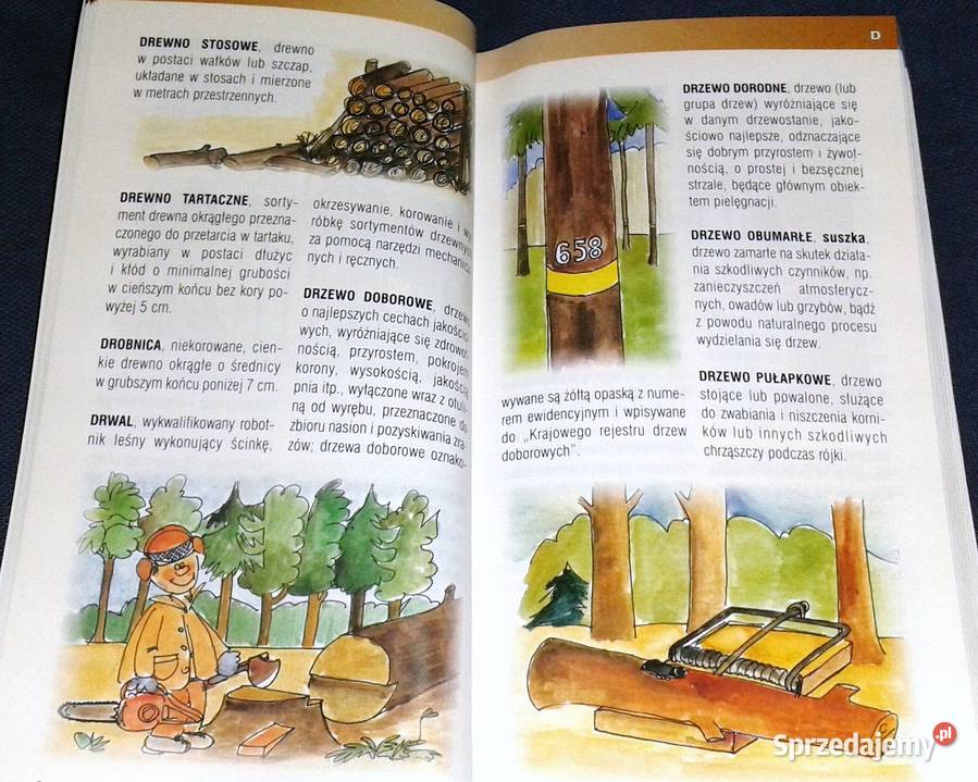 Las słowami opisany Słowniczek terminów leśnych miękka