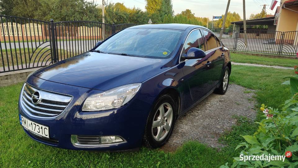 Opel Insignia Borowa