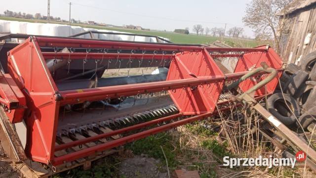 Kombajn zbożowy Massey Ferguson 29XP Września