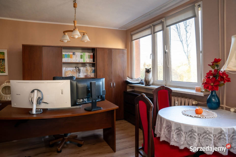Idealne mieszkanie na Biuro Mieszkanie w 55m2 Sprzedaż dolnośląskie Wrocław