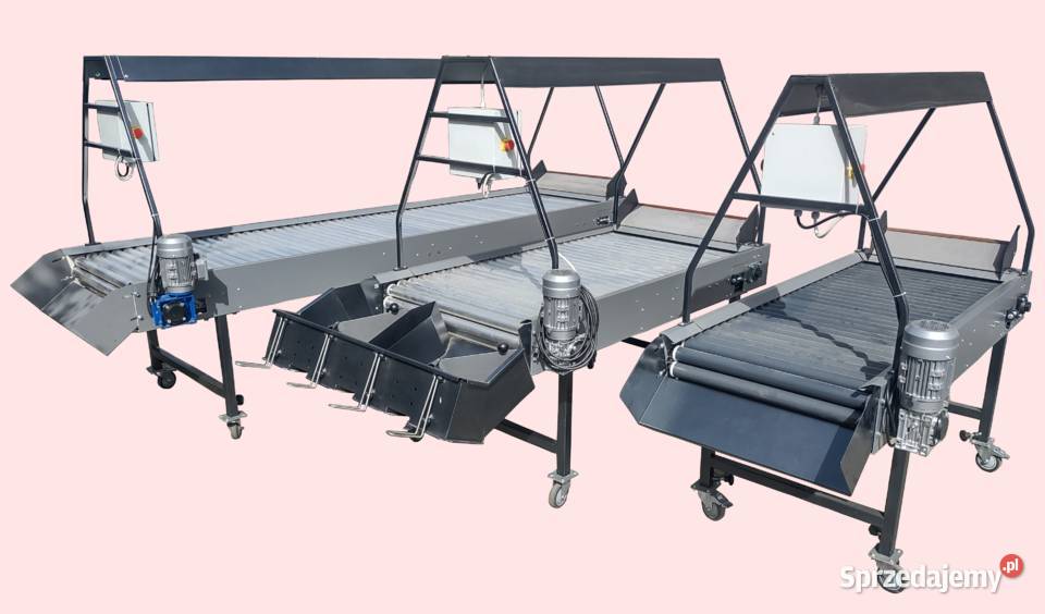 Stół przebierczy rolkowy selekcyjny Producent Środa Wielkopolska