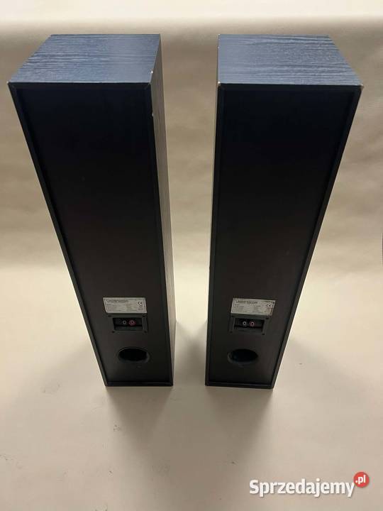 Kolumny Voice Kraft E1004A sprzedam