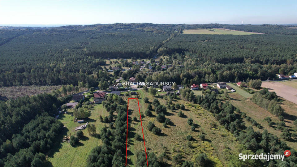 sprzedaży gruntu Rokitno Szlacheckie 6008m2 13750m2