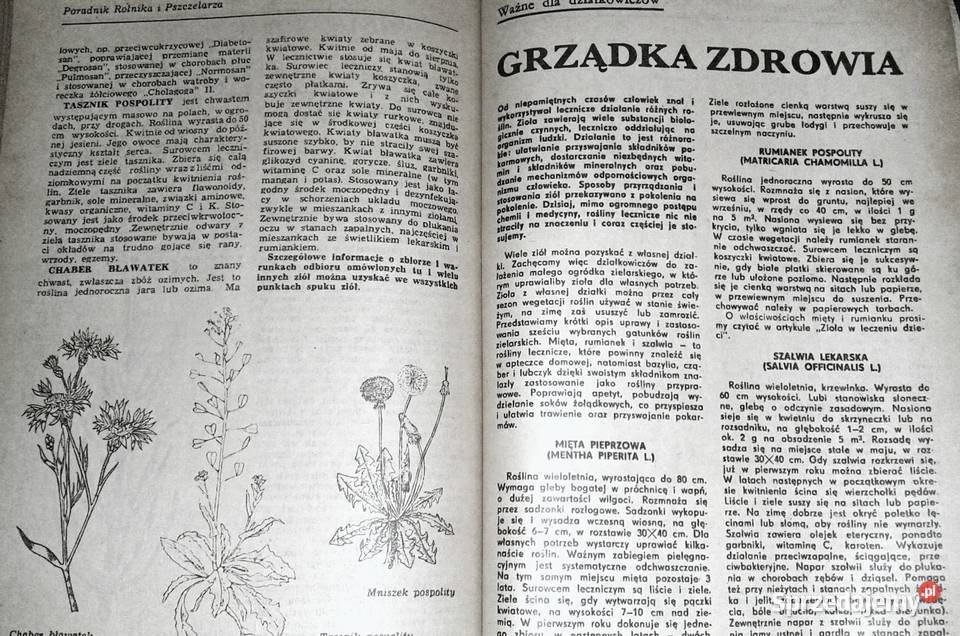 Poradnik rolnika i pszczelarza kalendarz na 1988