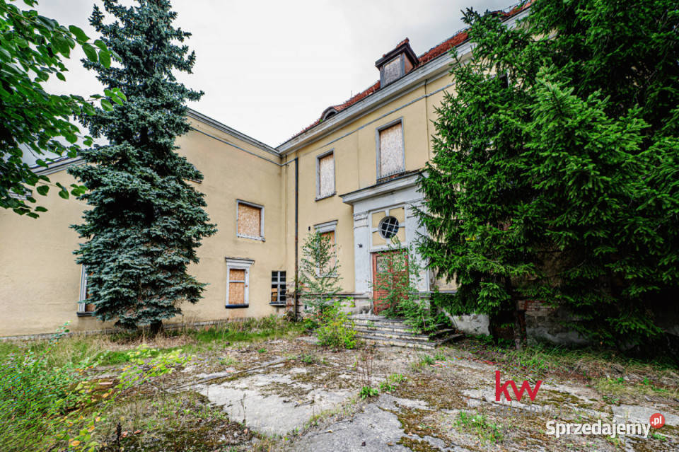 Lokal sprzedam Sieraków Poznańska 176396m 1763.96m2