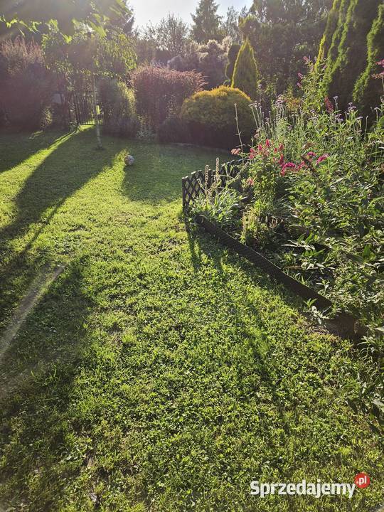 Działka ROD rekreacyjna Radomsko