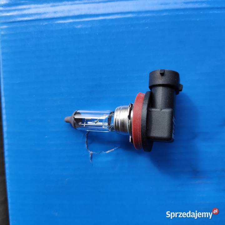 Żarówki H1 H3 H8 H10 Melanów