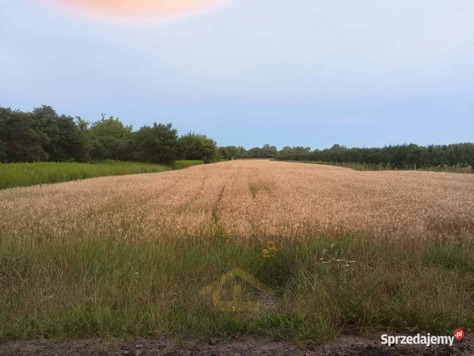 Działka w Nadbrzeżu mazowieckie