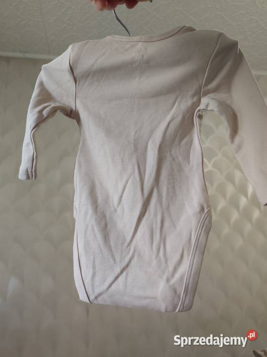 Body CA