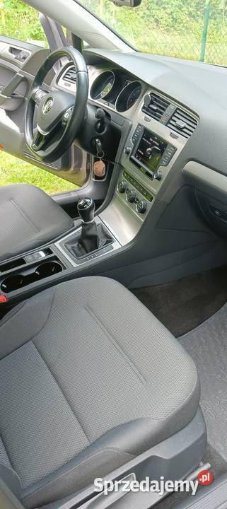 VW Golf 14 TSI polski salon niski przebieg szary Niewodnica Kościelna