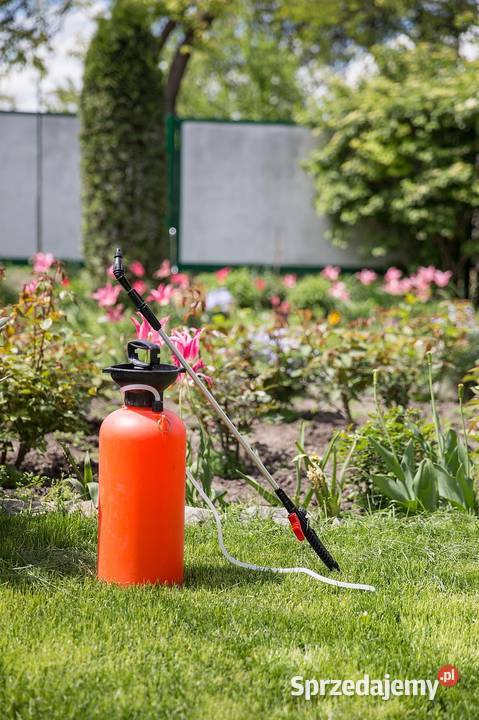 Oprysk na kleszcze usuwanie kleszczy likwidacja dolnośląskie Wrocław