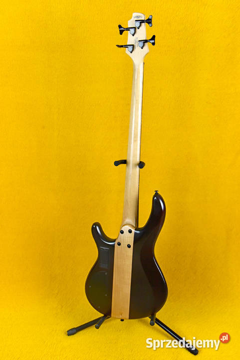 Gitara basowa Cort fretless Krosno