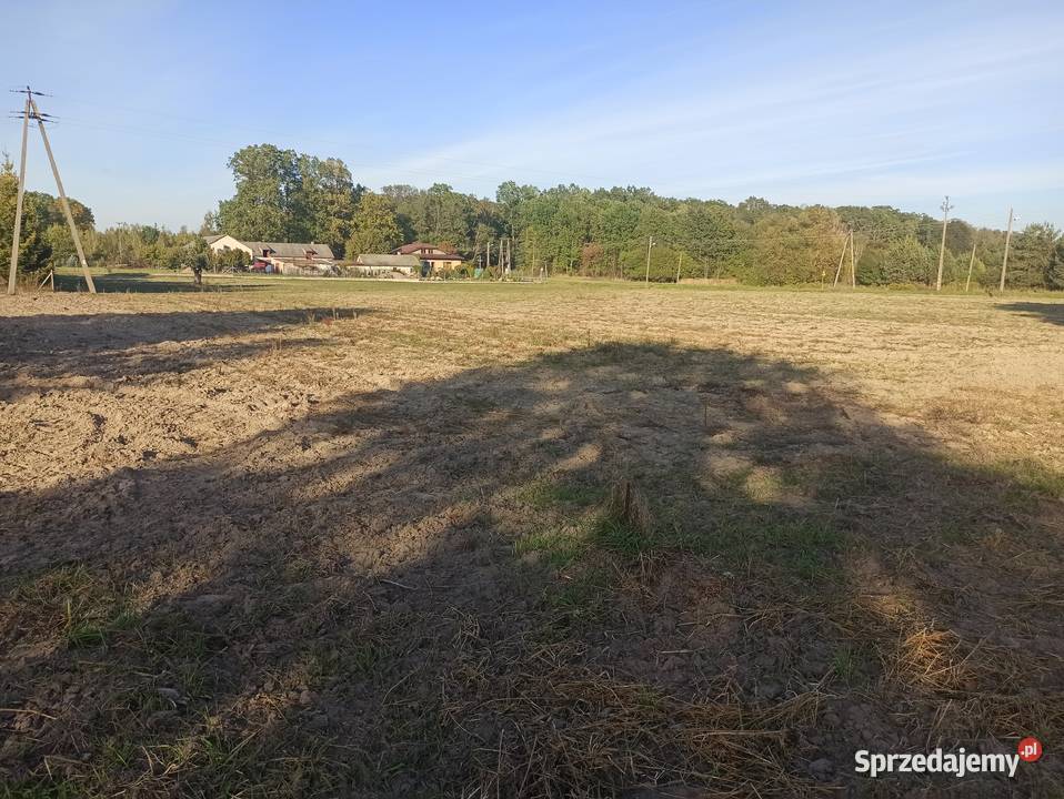 Sprzedam działki budowlane każda 1500m2 we wsi mazowieckie