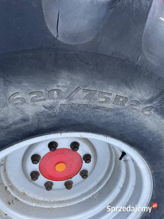 Massey Fergusson MF 30 32 koło felga opona Jastrzębniki