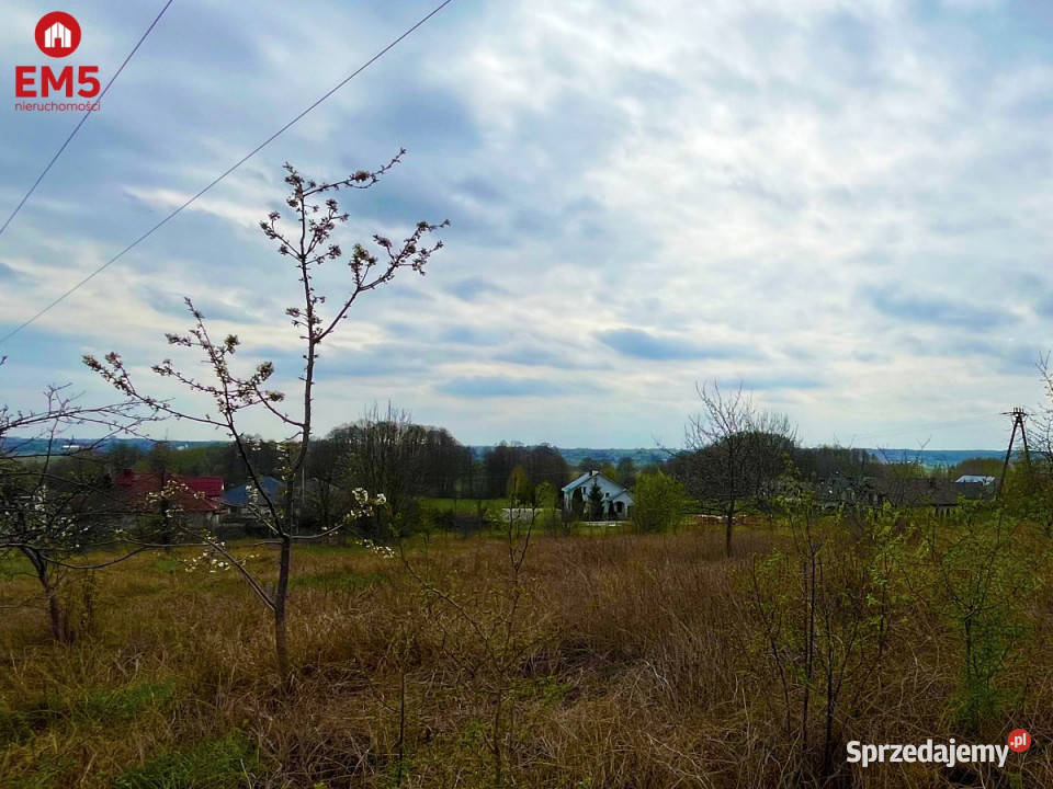 Sprzedaż działki Nowe Aleksandrowo 13000 metrów prąd sprzedam