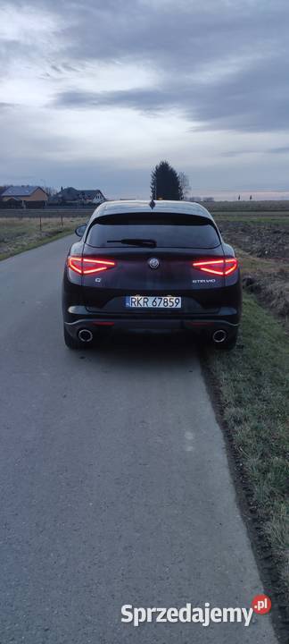 Alfa Romeo Stelvio podkarpackie Wróblik Szlachecki