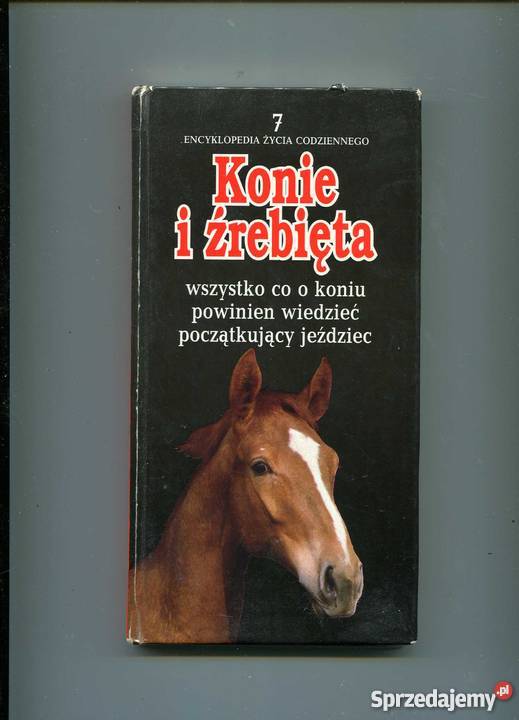 Konie i źrebięta Szczecin