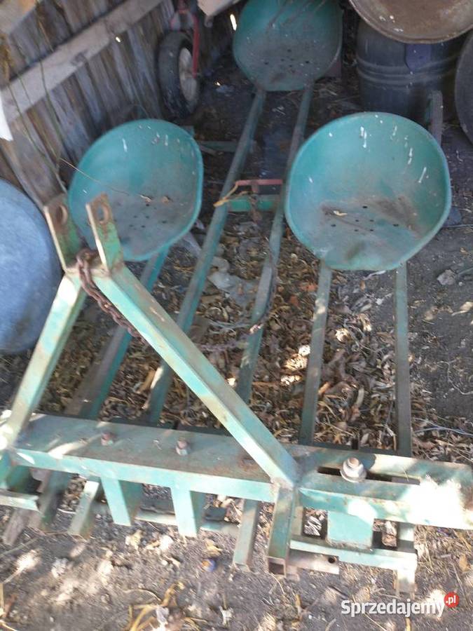 Sadzarka bób cebula czosnek małopolskie Proszowice