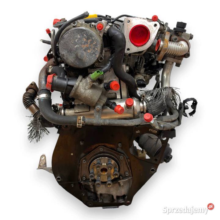 SILNIK Z19DT Opel Signum Vectra C Astra H Zafira osobowe lubelskie