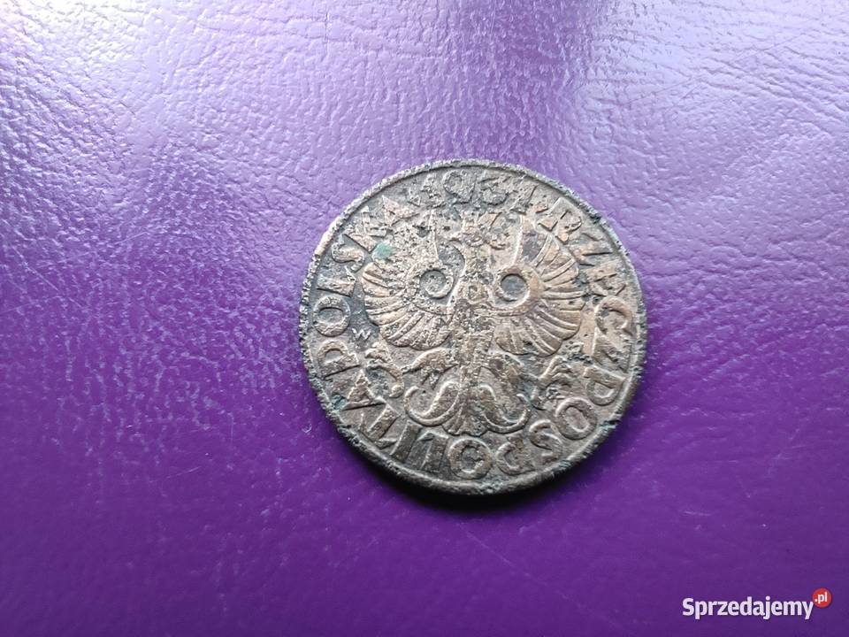 Moneta przedwojenna Sanacja II RP 5 groszy 1931 Numizmatyka Pruszków