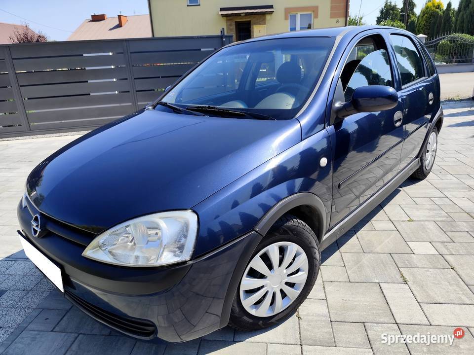 Opel Corsa C 10 2002 Klima Lakier Orginał nieuszkodzony podkarpackie Jasło