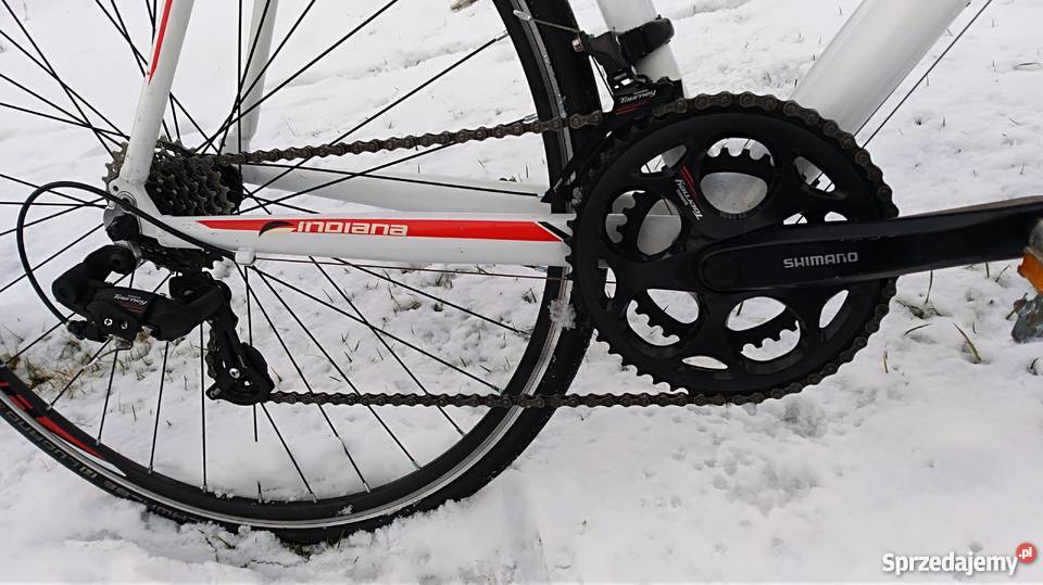 Kolarzówka Indiana Arrow Wiosenna Janikowo