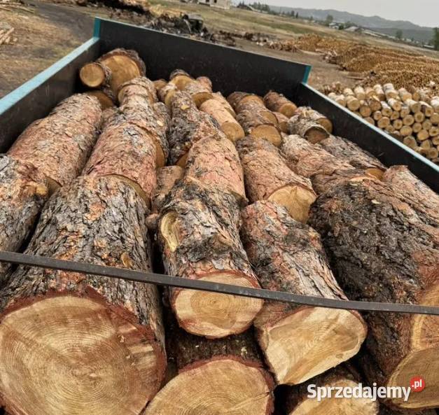Różne rodzaje drewna opałowegokominkowego sprzedam