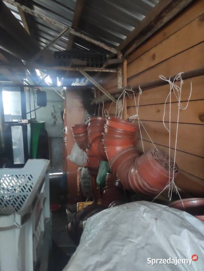 Doniczki chryzantemowe 23 Radom