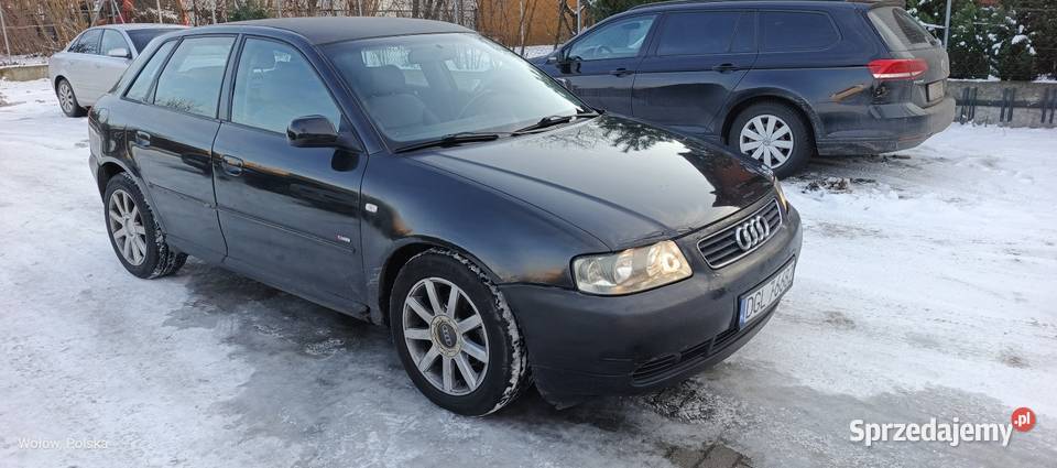 Audi A3 19 TDI 5 drzwiowa Wołów
