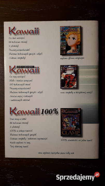 Rysujemy z Kawaii książeczka Rysujemy Rybnik